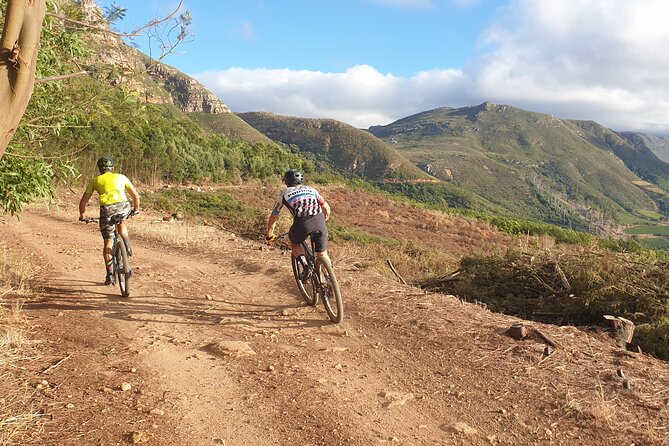 Private E-Bike Cape Town MTB Trails with a Pro - Gear Change Tokai Start: Getting Set Up on a €9000-Plus E-Bike