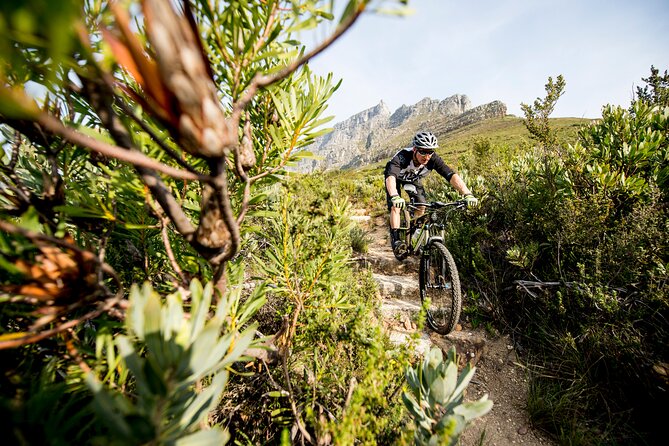 Private E-Bike Cape Town MTB Trails with a Pro - The Ride Breakdown: Assisted Climbs, Singletrack, and Gravel Vistas