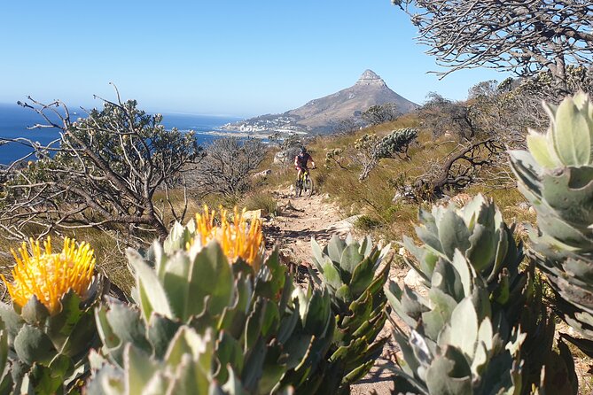 Private E-Bike Cape Town MTB Trails with a Pro - Paris’s Coaching Adds Real Value, Not Just Direction