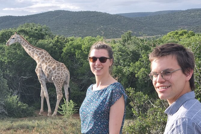 Private Full-Day Addo Elephant Park & Giraffe Walk - Key highlights to know before you go