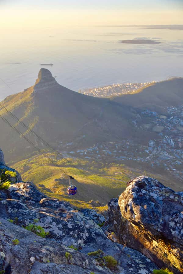 PRIVATE FULL DAY CAPE PENINSULA TOUR - Key things you’ll notice on this Cape Peninsula day