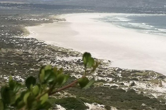 Private Full Day Cape Town City Scenic and Table Mountain Tour. - Bo-Kaap: color, spices, and samosas you can smell before you taste