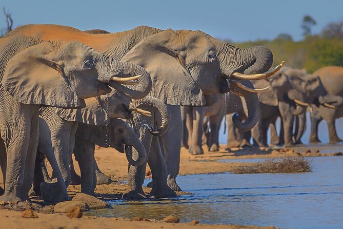 Private Full Day Safari (10 hours) in Kruger National Park - Why this Kruger private safari makes sense, Phalaborwa Gate to the finish