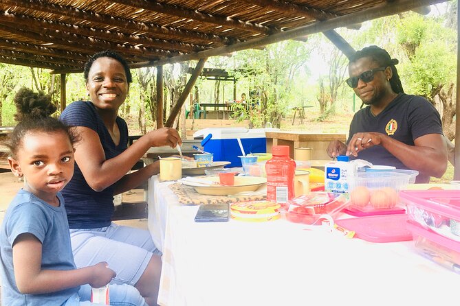 Private Full Day Safari (10 hours) in Kruger National Park - Should you book this private Kruger safari from Phalaborwa?