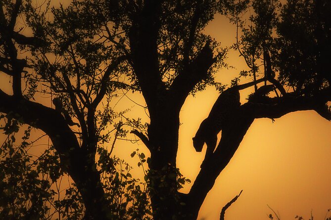 Private Full Day Safari (10 hours) in Kruger National Park - Your day-by-day route: what each stop is for