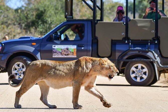 Private Full Day Safari l Kruger National Park from Hazyview or Skukuza - Key things that make this Kruger safari work