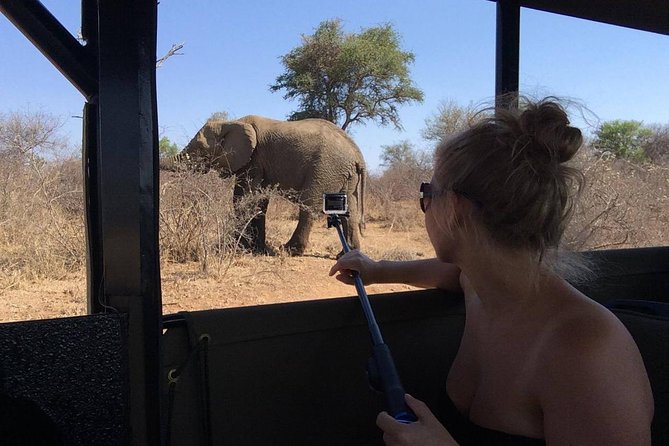 Private Full Day Safari l Kruger National Park from Hazyview or Skukuza - What you’re hunting for: Big Five focus plus predators and other stars