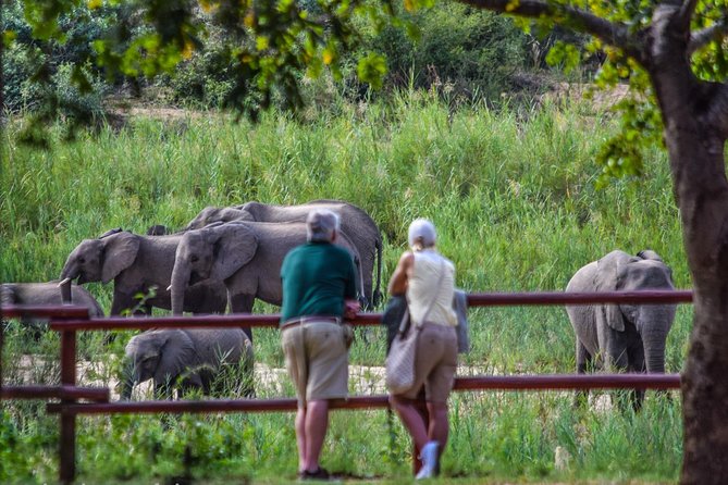 Private Full Day Safari l Kruger National Park from Hazyview or Skukuza - Private safari value: what you gain with a group of 1 to 10