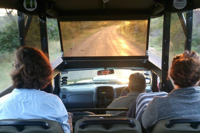 Private Full Day Safari l Kruger National Park from Hazyview or Skukuza - Price and park fees: the real math behind $454.36 per group