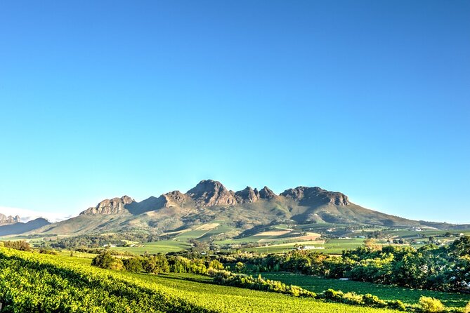 Private Full Day Stellenbosch Wine Tour - Stellenbosch in Short: Dorp Street and De Braak Street Time