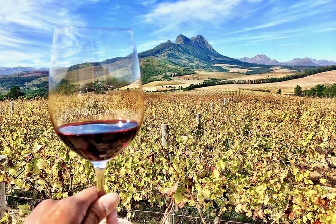 Private Full Day Stellenbosch Wine Tour - Delaire Graff Estate in 45 Minutes: Big-Estate Atmosphere, Short and Sweet