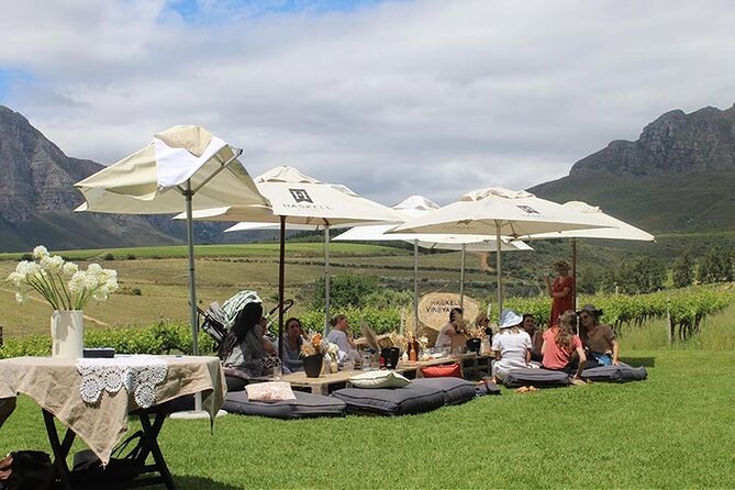 Private Full Day Stellenbosch Wine Tour - Tokara Wine Estate Stop: A Smooth Finale Before Heading Back