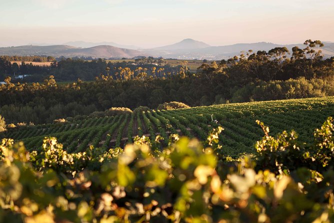 Private Full Day Stellenbosch Wine Tour with Pick Up and Drop Off - Private Stellenbosch without the driving stress