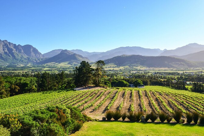 Private Full Day Stellenbosch Wine Tour - Spier Wine Farm: Dam-Side Tastings and the Included Cellar Tour