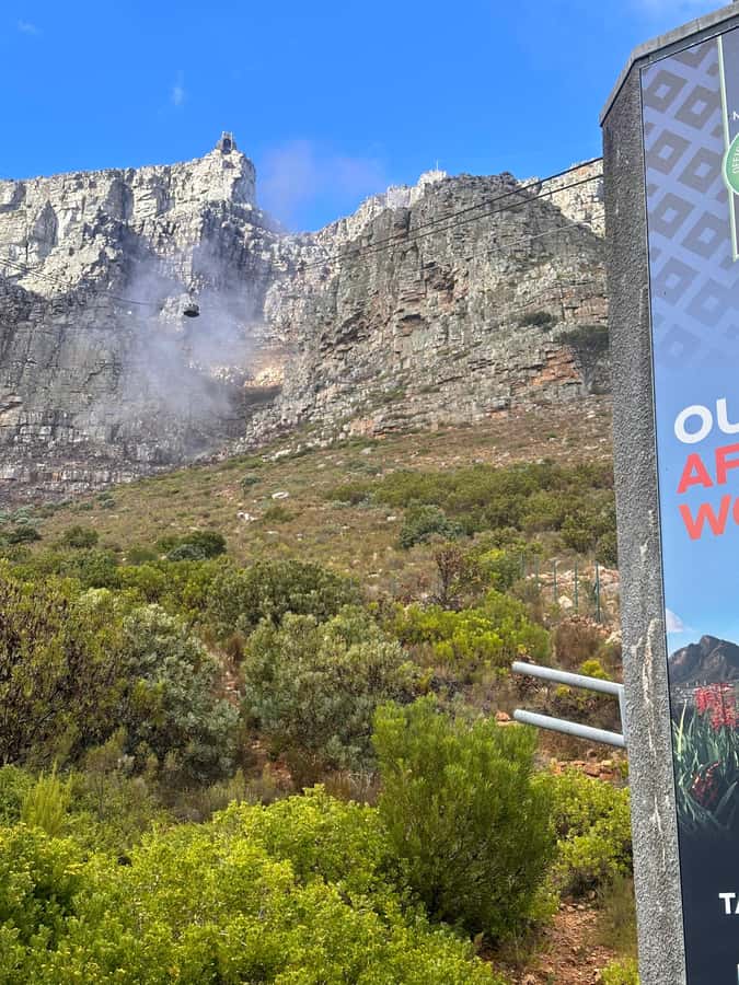 Private Full Day Tour to Robben Island and Table Mountain - Tips to make the day easier (and more enjoyable)