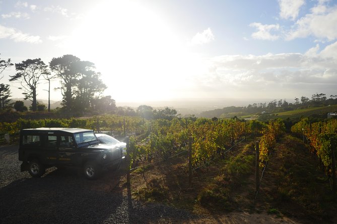 Private: Full Day Ultra-Premium Wine Tour from Cape Town to Constantia - Hotel pickup, air-conditioned comfort, and how timing actually feels