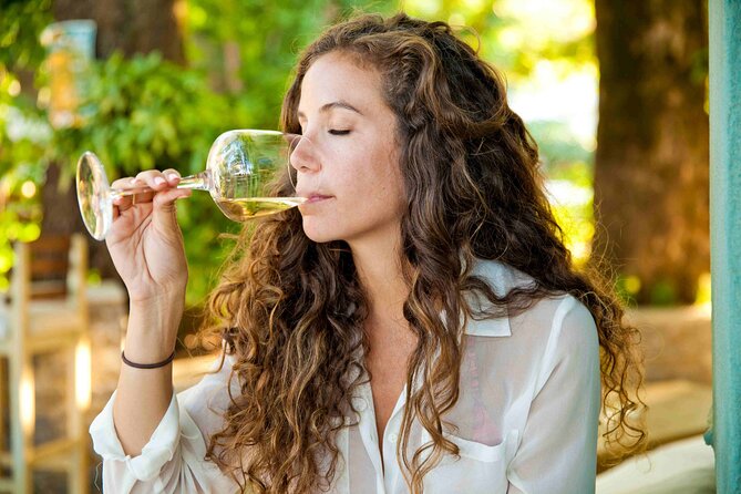 Private Full Day Wine Tour in Cape Town - Stop-by-Stop: Delaire Graff to Dieu Donné