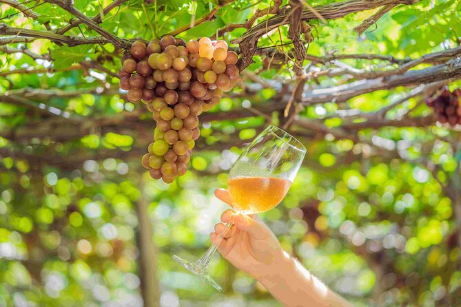 Private Full Day Wine Tour in Cape Town - Food and Pairing Moments at Delheim and Fairview