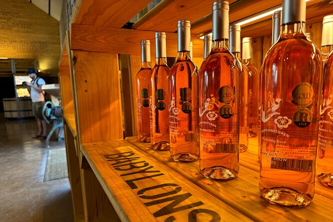 Private Full Day Wine Tour: Stellenbosch and Franschhoek & Paarl - Paarl tastings: where terroir talk turns into choices