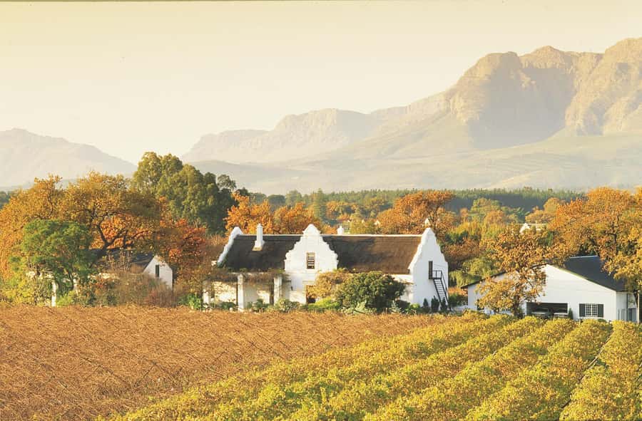 Private Full-Day Winelands Tour in Stellenbosch - Wine in the Winelands, with a plan you can actually use