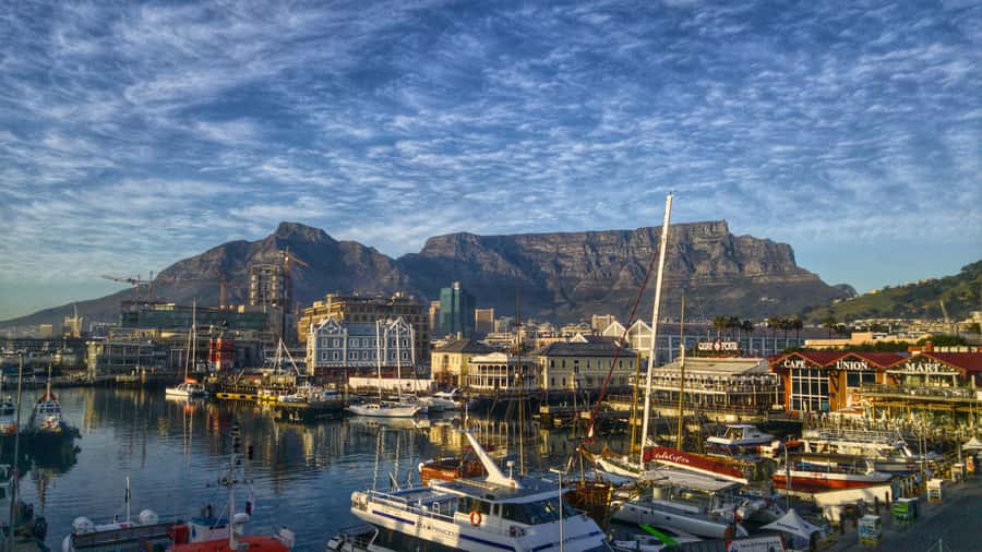 Private Guided Half-Day City Tour with Table Mountain - Price and value: is $221 for 4 hours worth it?