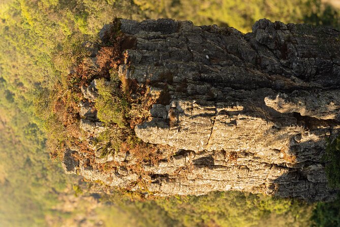 Private Guided Panorama Full Day Tour - God’s Window: a viewpoint hike for that lowveld feeling