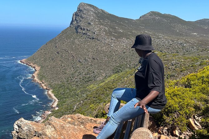 Private Guided Tour in Cape of Good Hope and Table Mountain - A one-day Cape Town route that actually makes sense