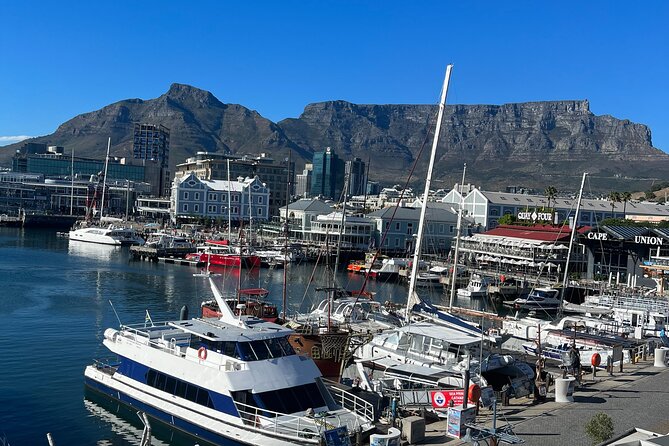 Private Guided Tour in Cape of Good Hope and Table Mountain - Chapman’s Peak Drive: the scenic drive you remember