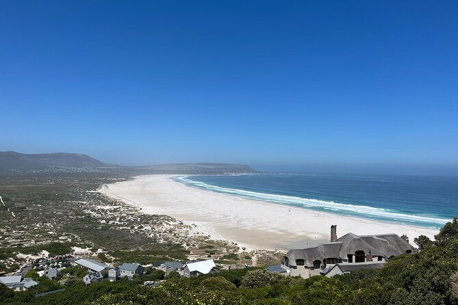 Private Guided Tour in Cape of Good Hope and Table Mountain - Just Nuisance at Jubilee Square: quick, quirky, and fun