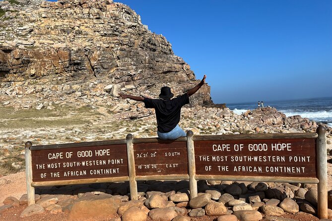 Private Guided Tour in Cape of Good Hope and Table Mountain - Table Mountain by aerial cable car: the big-ticket moment