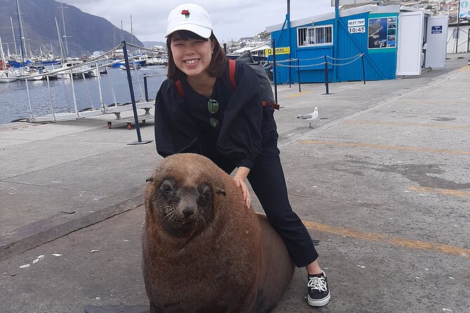 Private Guided Tour to Cape of Good Hope and Penguins Colony - Price and value: does $100 per person make sense?