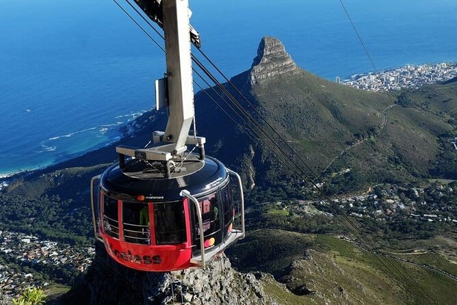 Private Guided Tour to Table Mountain and Cape Point with Penguin - Key highlights worth getting excited about