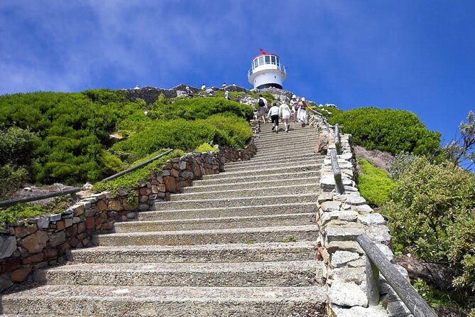 Private Guided Tour to Table Mountain and Cape Point with Penguin - Seaforth Beach, lunch by the water with penguins in the mix