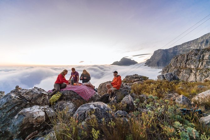 Private Hiking Tour of Table Mountain - Table Mountain, Cape Town’s tallest shortcut to wild views
