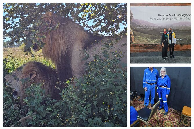 Private Johannesburg and Pretoria Tour - Practical tips to get the most out of a customized day