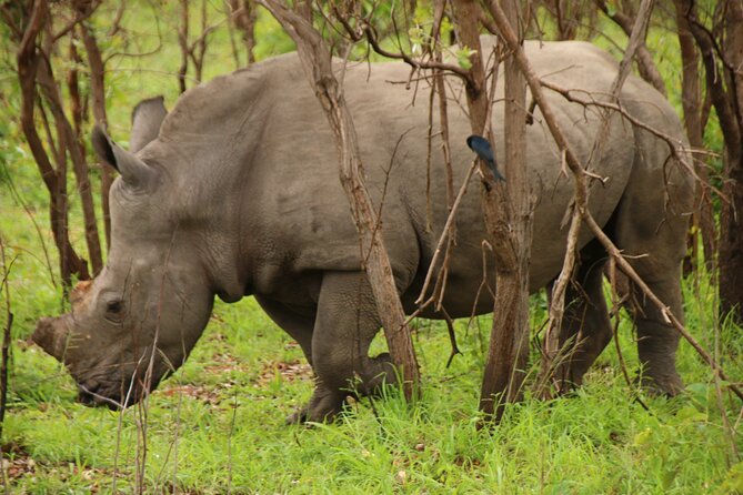 Private Kruger Park Safari and Panorama Route - Day 3 on the Panorama Route: Viewpoints, Canyon Views, and a Clean Finish Back to Joburg