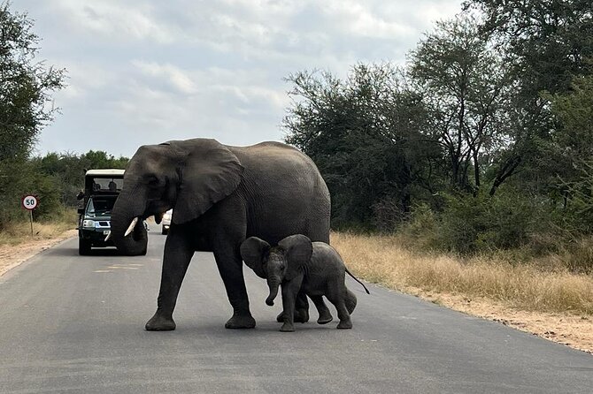 Private Kruger Park Safari and Panorama Route - Day 1 in Kruger: Arrival, Then That Sunset Choice