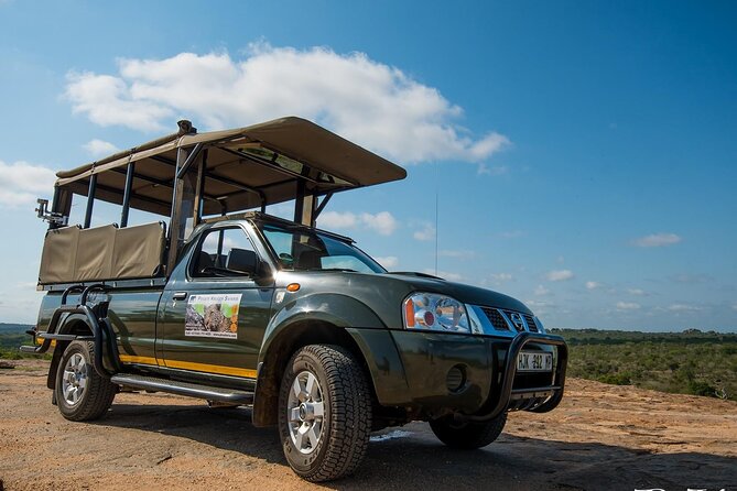 Private Morning Game Drive from Hazyview l Kruger National Park - Key Highlights You’ll Actually Feel on the Drive