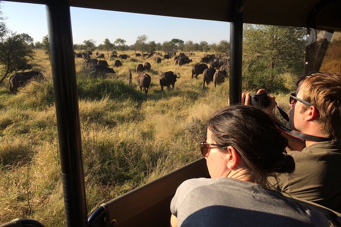 Private Morning Game Drive from Hazyview l Kruger National Park - Your Guide’s Role: Personal Attention, Real Flexibility
