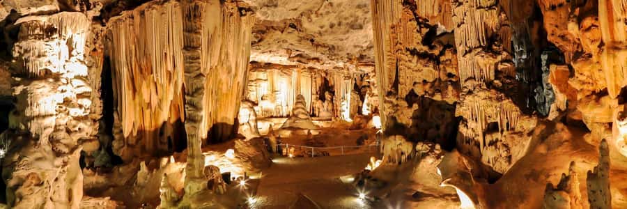 Private Oudtshoorn Full Day Tour - Ostrich farm time, plus the egg-standing moment