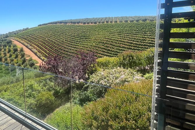 Private/Personalized Full Day Wine Tasting Tour Cape Winelands - Practical Tips to Make the Day Go Smoothly