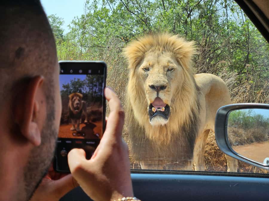 Private Rhino and Lion Park, Cradle Caves or Maropeng Museum - The guide: Shane Gouldie brings more than facts