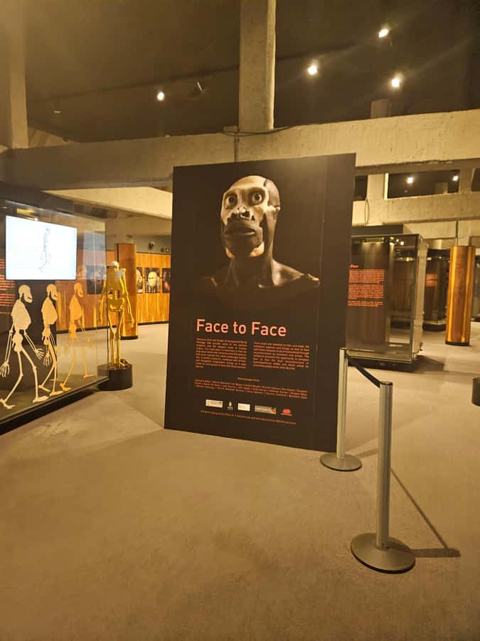 Private Rhino and Lion Park, Cradle Caves or Maropeng Museum - Sterkfontein Caves vs Maropeng Museum: how the day changes