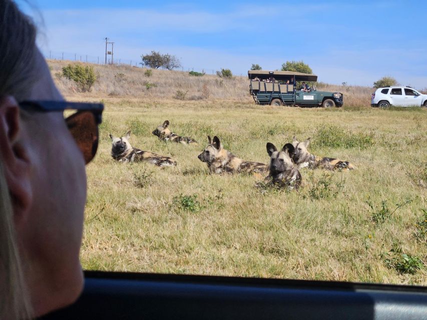 Private Rhino and Lion Park, Cradle Caves or Maropeng Museum - Mrs Ples and Little Foot: why these names matter