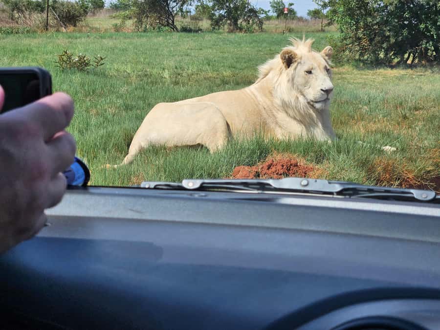 Private Rhino and Lion Park, Cradle Caves or Maropeng Museum - What to bring and how to get the best experience