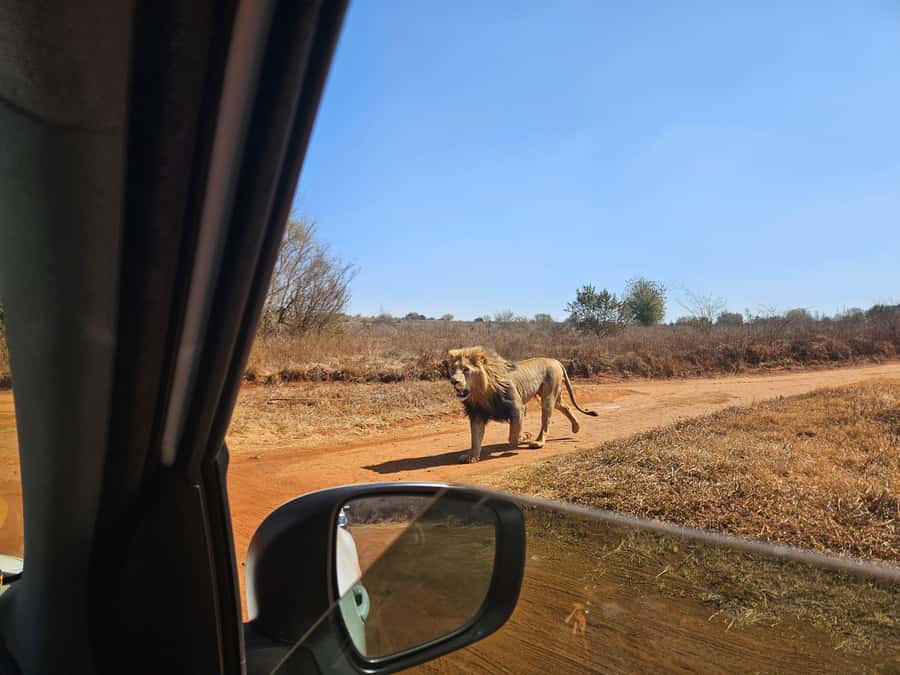 Private Safari. Cradle Humankind Caves or Maropeng Museum - Value check: $80 per person plus the real entry fees
