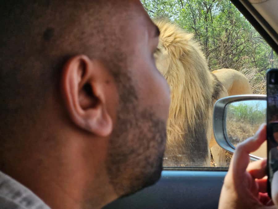 Private Safari Tour: Pilansberg National Park Big 5 - Morning pickup, then a 2.5-hour run to Pilansberg