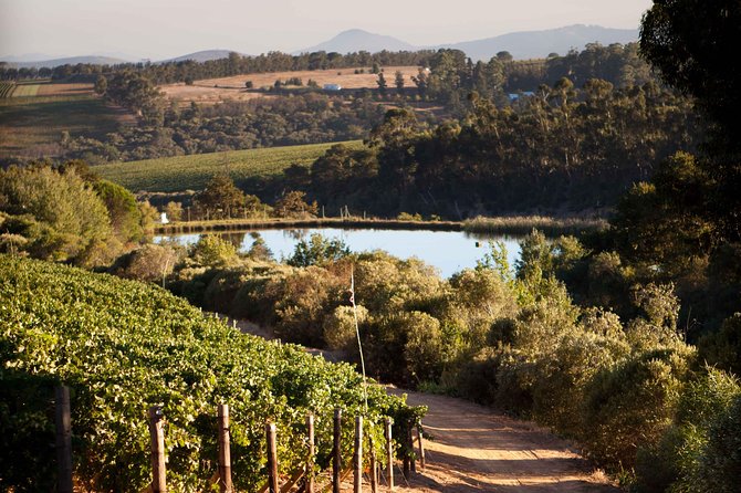 Private Stellenbosch, Franschhoek and Paarl Wine Tour - Stop 3: Glenelly Bistro lunch stop in Stellenbosch