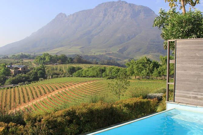 Private Stellenbosch, Franschhoek and Paarl Wine Tour - The value in paying for tastings, not just sightseeing
