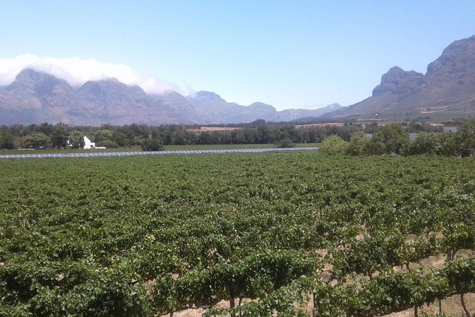 Private Stellenbosch, Franschhoek Paarl Wine Tour from Cape Town - Hotel Pickup at 09h30, Then the Clock Starts Ticking